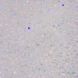 Гель для наращивания LUNA Diamond Gel 01, 15 мл LUNA-DMD-01 фото 3
