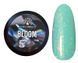 Гель для моделювання нігтів Global Fashion BLOOM #14, 15 мл GF-BLOOM-14 фото 1