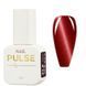 Гель-лак Nail Pulse LUX CAT #13, 8 мл NAILP-LUXC-13 фото 1
