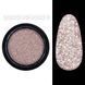 Світловідбиваючий пігмент Designer Professional Disco Powder 09 DP-VT-D09 фото 1