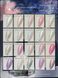 Гель-лак Global Fashion Pearl Gel Polish #14, 8 мл 23475 фото 2