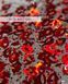 Гель для дизайна CROOZ KISS GEL RED, 5 мл CR-DIZ-KR фото 3