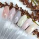 SAGA Professional Acryl gel #8, 13 мл SG-ACRG-08 фото 3