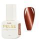 Гель-лак Nail Pulse LUX CAT #24, 8 мл NAILP-LUXC-24 фото 1
