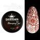 Гель для стемпинга Designer Professional Stamping Gel Paint 3 in 1, S9, 5мл DP-STM-S9 фото 1