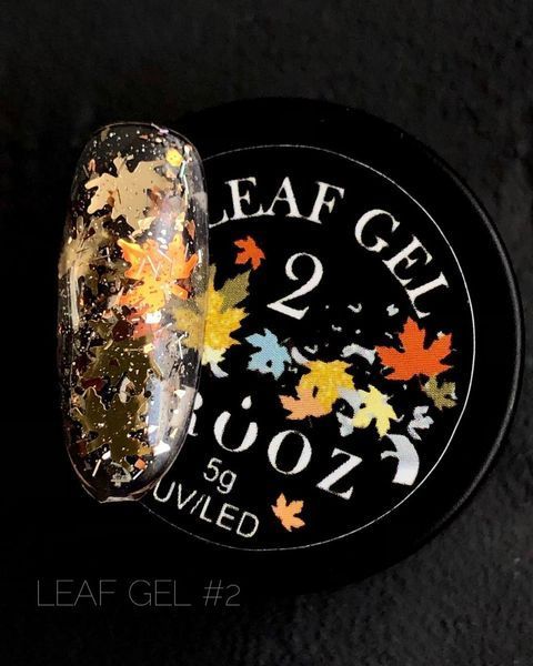 Гель для дизайну CROOZ LEAF GEL #2, 5 г CR-LEAF-02 фото