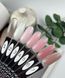 SAGA Professional Acryl gel #12, 13 мл SG-ACRG-12 фото 4