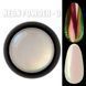 Неонове втирання Designer Professional Neon Powder 03 BW DP-VTN-03 фото 1