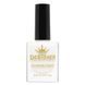 Лак-краска для стемпинга Designer Professional Stamping Paint 2, 9 мл DP-STL9-02 фото 1