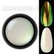 Неоновая втирка Designer Professional Neon Powder 04 BW DP-VTN-04 фото 1