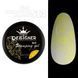 Гель для стемпинга Designer Professional Stamping Gel Paint 3 in 1, S13, 5мл DP-STM-S13 фото 1