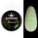 Гель для стемпинга Designer Professional Stamping Gel Paint 3 in 1, S14, 5мл DP-STM-S14 фото 1