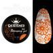 Гель для стемпинга Designer Professional Stamping Gel Paint 3 in 1, S15, 5мл DP-STM-S15 фото 1