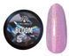 Гель для моделювання нігтів Global Fashion BLOOM #5, 15 мл GF-BLOOM-05 фото 1