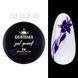 Гель-фарба для дизайну Designer Professional Gel Paint No Wipe 09, 5 мл